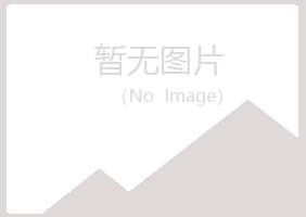 田东县紫南能源有限公司